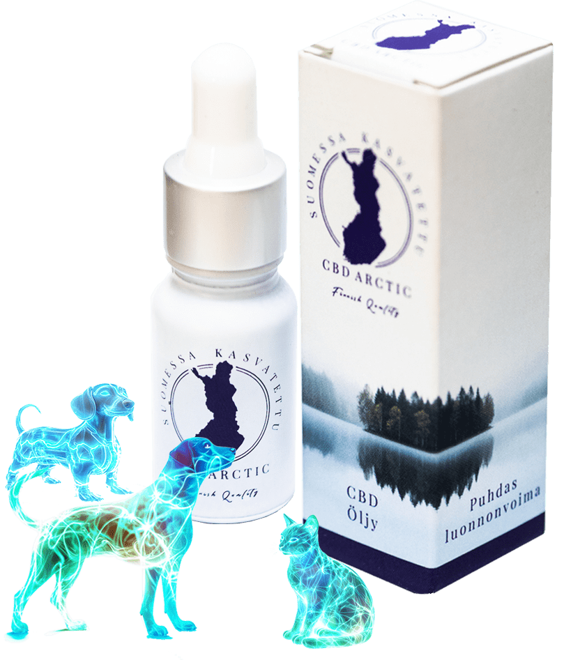 CBD eļļa mājdzīvniekiem 6%