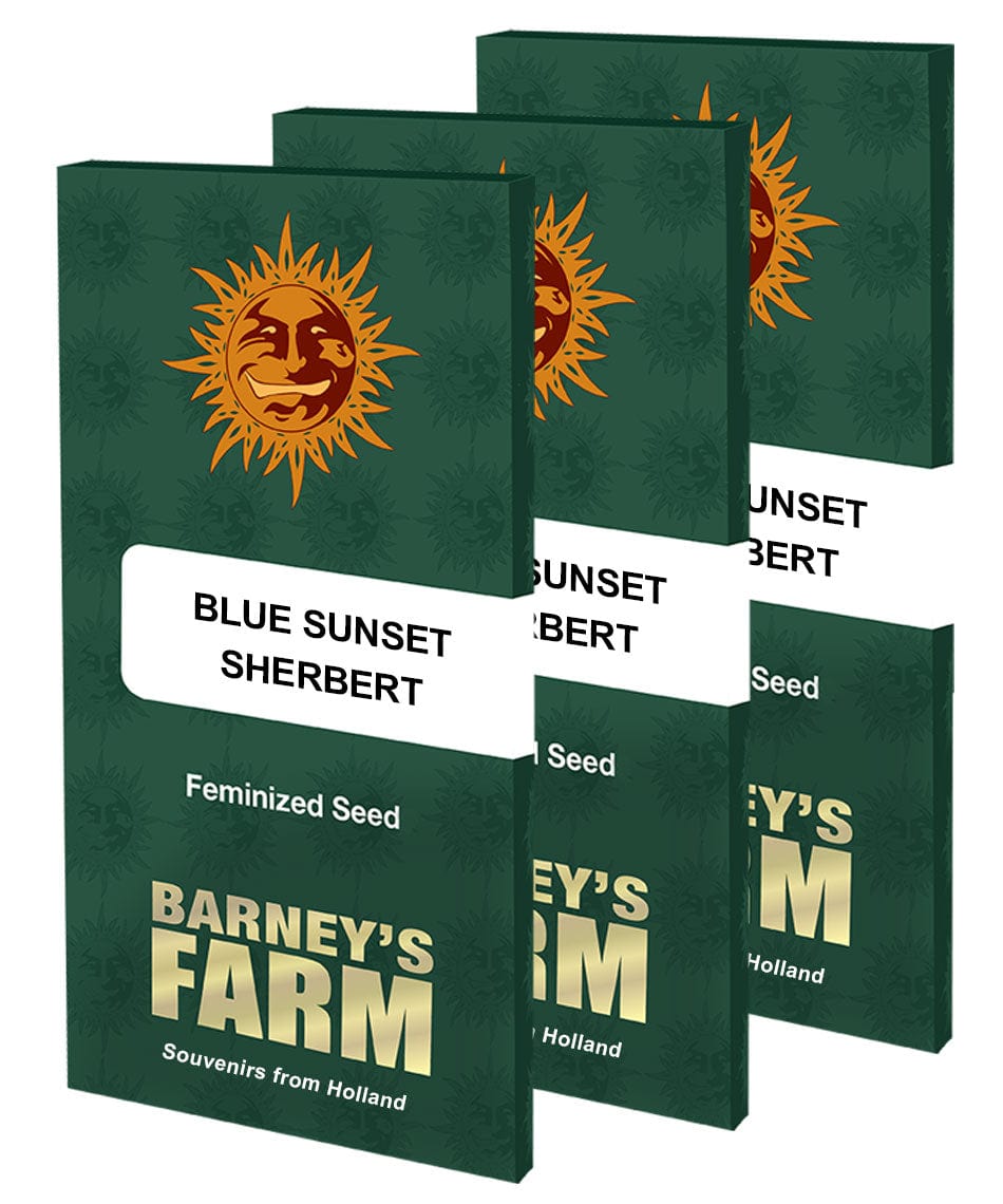 Barney's Farm Blue Sunset Sherbert